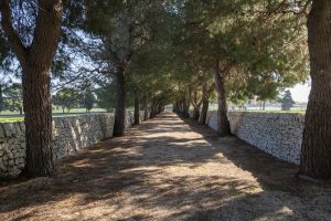 Esperienze da fare in Puglia