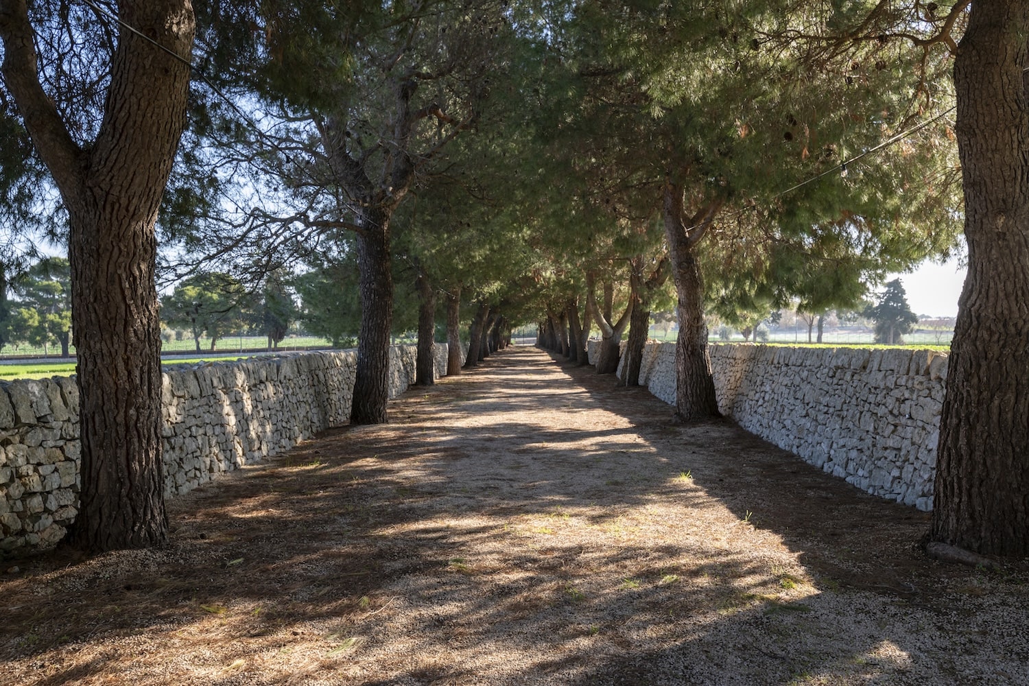 Esperienze da fare in Puglia: un viaggio autentico tra natura, cultura e gusto