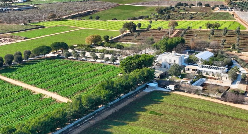 Masseria a Polignano a Mare: l’anima autentica della Puglia